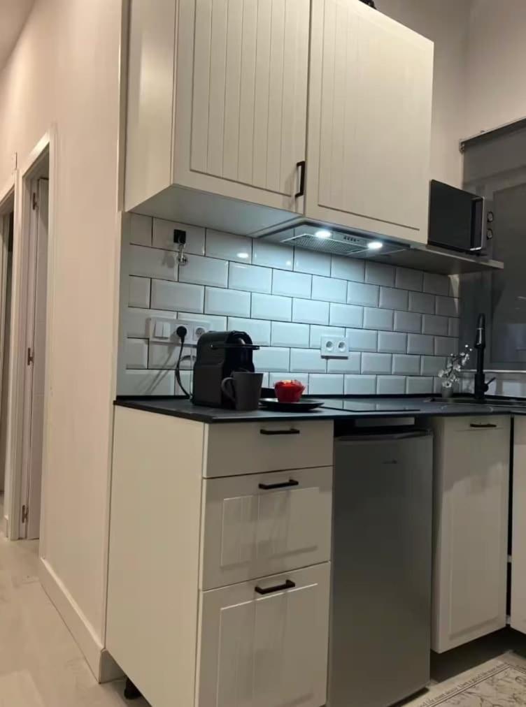 Apartamento In La Latina Madrid